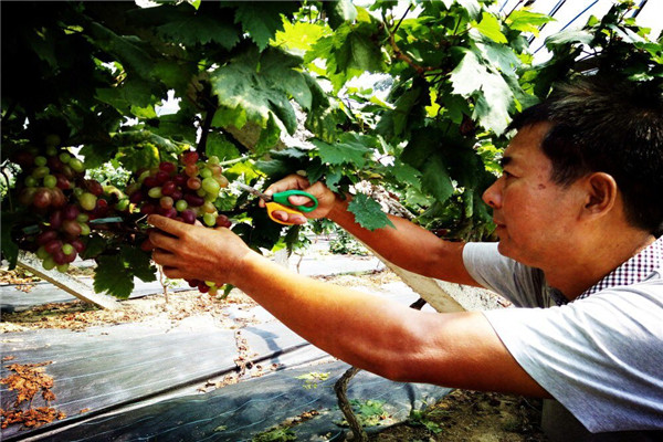 201702281488271255952044743.jpg QQ图片20170228163807.jpg