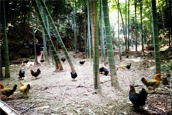 201702281488271273346053778.jpg QQ图片20170228163822.jpg