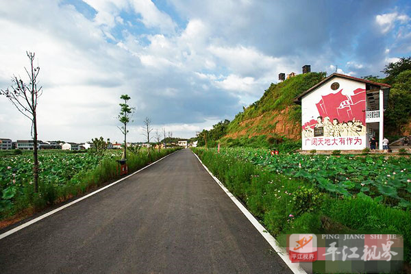 201704261493207226851022547.jpg 微信图片_20170426194052.jpg