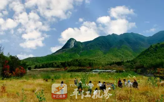 201705111494469858994024866.png 微信截图_20170511102022.png