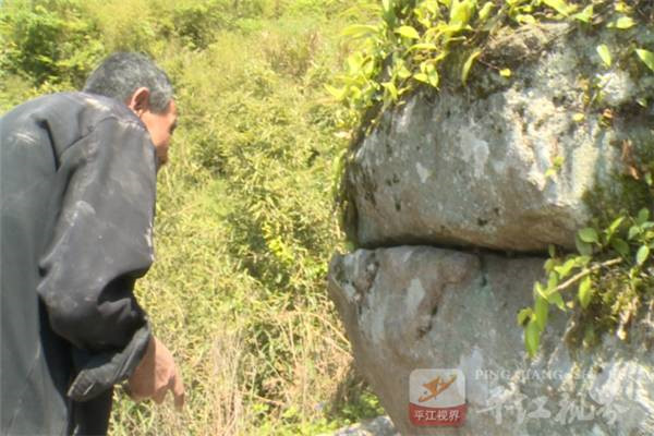 201705111494465109570027838.jpg 微信图片_20170511090744.jpg