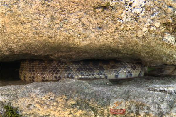 201705111494465116421041785.jpg 微信图片_20170511090747.jpg