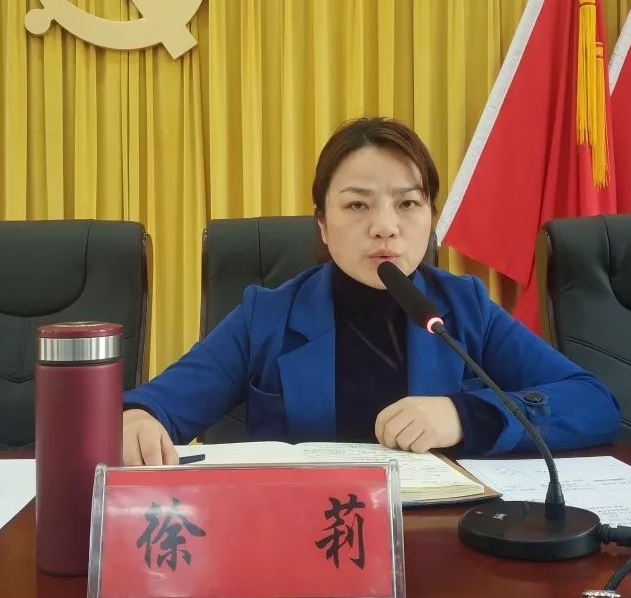 三市镇召开配合中央扫黑除恶专项斗争督导会议