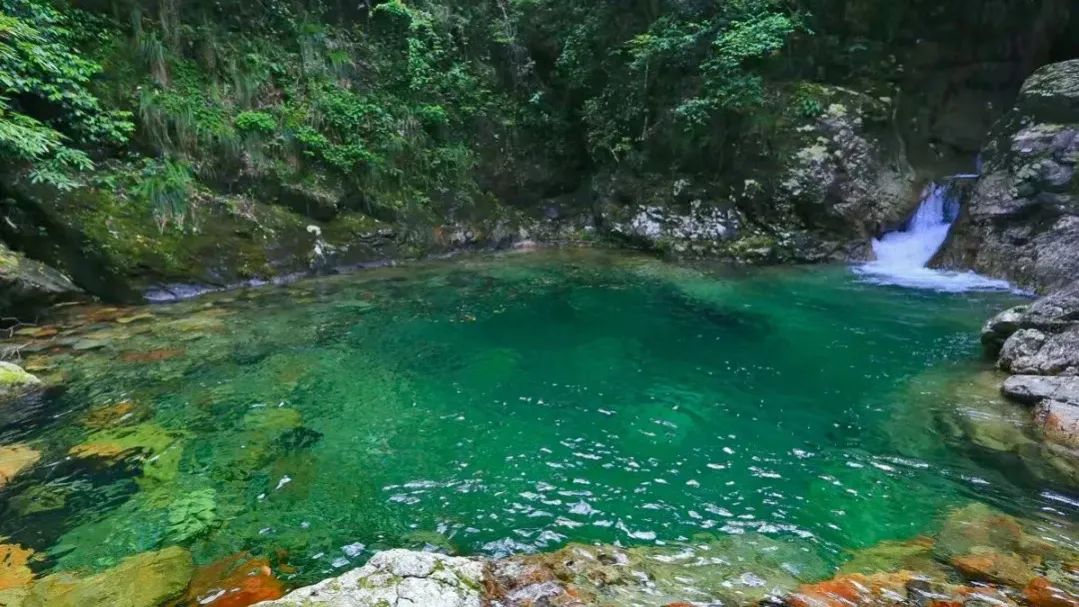 坐上欢快的火车,今天可以一探"芦头境谷"了-平江县政府网