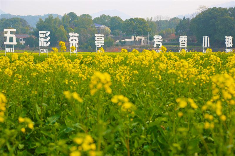 ʢ�����Ͳ˻��������ο�����̷��԰�塣���������� �ɭ��