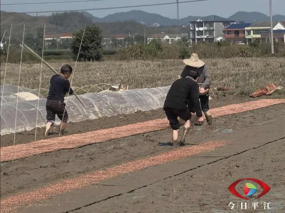 �����ô��⣬ƽ����Ұ�ϸ���æ