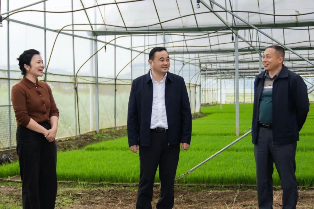 �����ʵ��ж�����ȫ��������Ѵ��Ѵ������ȶ��ȹ���